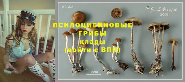 мдпв Покров