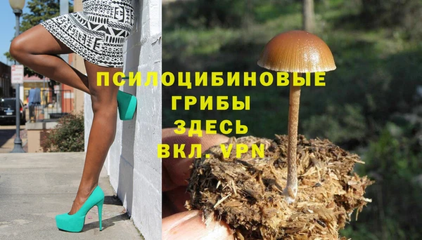 гашик Алексин