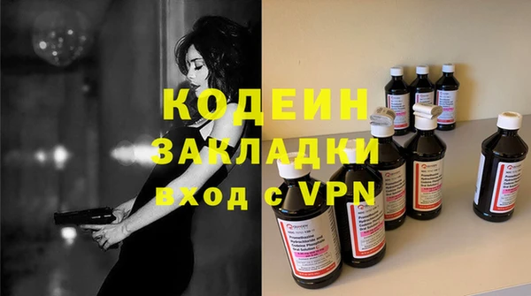 гашик Алексин