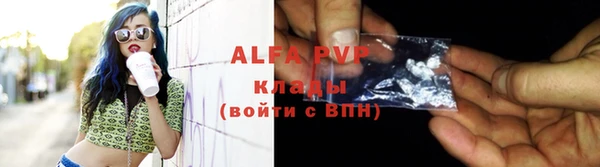 гашик Алексин